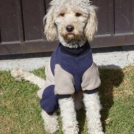 D 5b4e6ca0 053d 4f0b 80d0 e7a04872e4cf