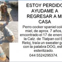 D 56266eb2 c6cd 4a7d a740 68fcac856a1e