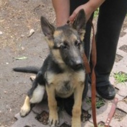 D 48829391 24d4 457d 8473 f9785f7ff2df