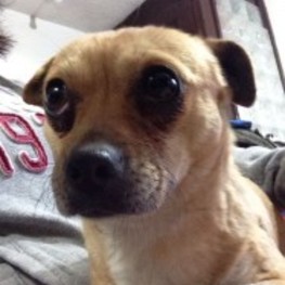 D a962b4b2 7773 418b b3c5 2590e7bf62a7