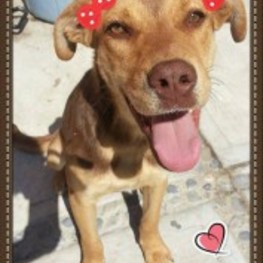 D 5d98aa15 4fb9 4eea bd29 f6a2356c1fbf