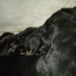 D ea7f606e 7a5e 44fb 9e04 7b8457af08a2