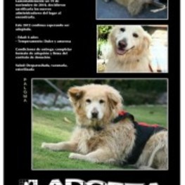 D a446f742 075e 404e a1cf 6eae9cab9a09