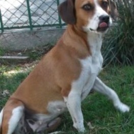 D 80c58924 d065 4d6e 8e53 f59dc8796429