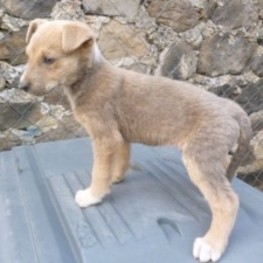 D 234f1b45 4266 45b5 a369 e2afad07a74e