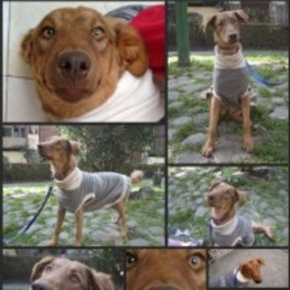 D f42cd04a 00da 4f81 8a86 667cfdbaa0e5