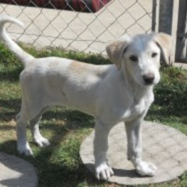 D 0f54694b b0ed 4eb6 96b9 fe5d8c1ad973