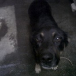 D 00a94bee 70d1 4266 b495 9377148f5b33