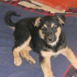 D 2f5913da 77f3 43bb 9cc6 88afa1fc7b37