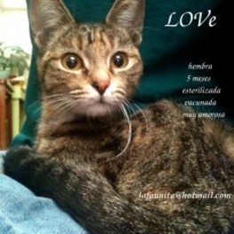 D 60dc98f3 40c7 44dc acb8 898136f15db2