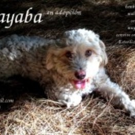 D 7701655a a92b 4e64 aff8 4ef0a56547c3