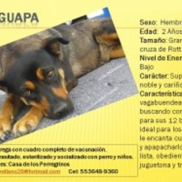 D f0688f80 0d90 4ac5 a3dd 29f10c8f3134