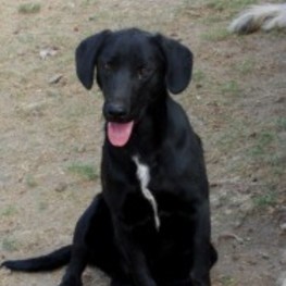 D 979a2c5f df20 463f b961 00e4c5b6beec