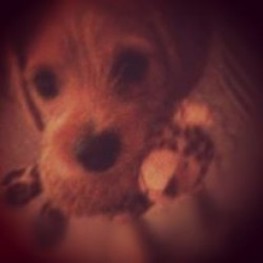 D 2cc915ce a1e4 4a2f b270 3609a6083088