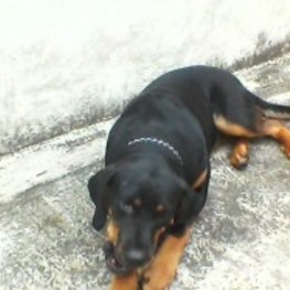 D b2b15753 6346 4161 ae17 16bd7e6ff79d