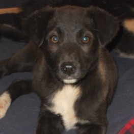 D 83fff41f 82d7 49b7 96ce 00ebccab43af