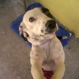 D 5c0c874d 848b 4204 b0eb 901a7e455e5e