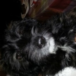 D 316f2671 0d67 4d27 8c42 be13f6553046