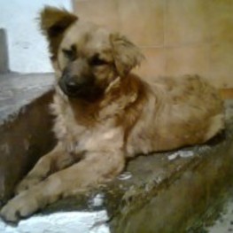 D ae2c347b 2609 492b be68 b5049e08040f