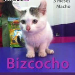 D 042bd743 5acb 4b2c ab9a f55fd226d4e4