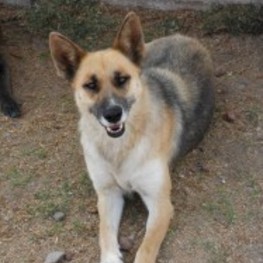 D 4531be68 cf65 455e b52a 1b1c3821e33e