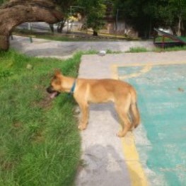 D 453a3a02 ef0a 44b4 925f 4fe640283b6a