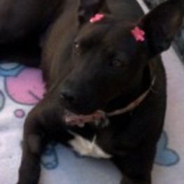 D f2ae812c 2dff 46bb a99d e8c14417b945