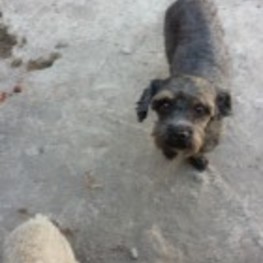 D a9ccce1c 32c1 4452 9157 f7d234f2346e