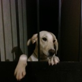 D 0b593d19 db1f 4ff7 810f f8c314977bbe