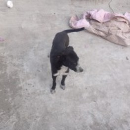 D eeed545a 2eeb 47c6 967c 012472eef94b