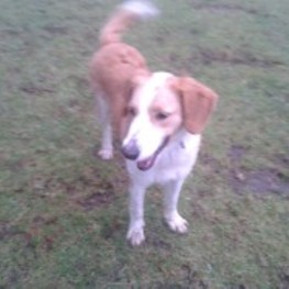 D 833aa1b7 cfc7 4064 8cb5 dadc7b3943e7