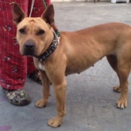 D 8afb3726 540d 4744 92ed d779dae35c18