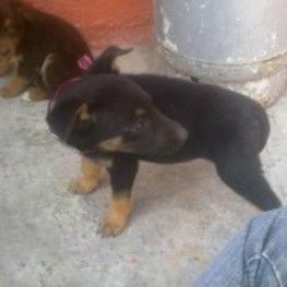 D 4675e676 01bd 463d ba6d 433be76a5557