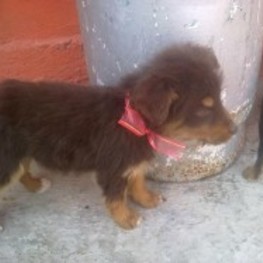 D 50124a30 482f 4aa3 9e21 6c84bcfd2f1c