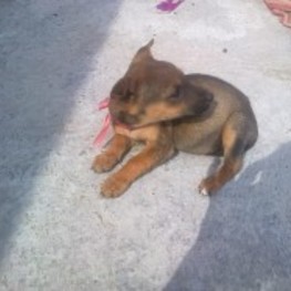 D b9fa80f9 aabf 461c be7f 94a44d8157cc