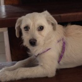 D bfecf269 6f84 474f b364 f82a73bd0d12