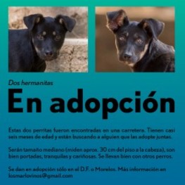 D e8d70411 7765 4372 9d7d ae730031dc31