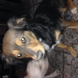 D 8c45f516 c750 495d 9d31 6da37749e646