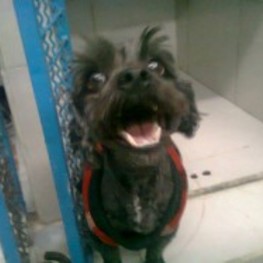 D 47c2a2a4 279c 41ff 868a ca96d3301772