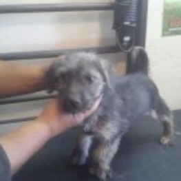 D bfba143c 151a 4672 a04b 084f66efc7d2