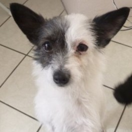 D 738b7fb5 ea6b 4e2c bed9 01a985a6b26a