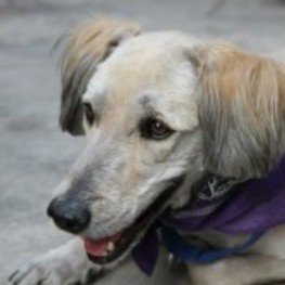 D 6d74802f 9fe3 4c6f a081 f8e526db3e0b