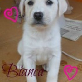 D 8ab4c001 05b9 4440 bd2c 145854240104