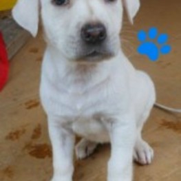 D b9c8af23 9e59 40ae aa1c 0909d9f18e3d