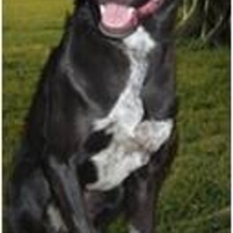 D 4fb10e38 45d9 443f 9088 6e010abae2e0