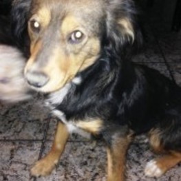 D 47aeee68 5de0 47c5 8888 8dcf92bf89db