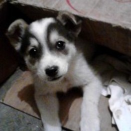 D eb5f6d98 77d6 4560 b993 27a0d5cb6c43