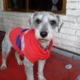 D 060944de 9ae7 4746 b815 611f4181022b