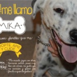 D 79448deb ceca 42e5 b594 a28b03257c3e