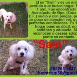 D 0f27084b 5bd0 4891 8769 f2ccfaf41c13